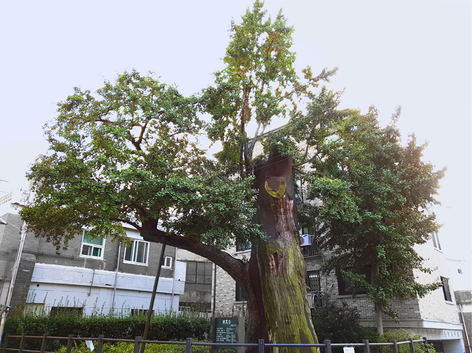 ウンヘンナム(イチョウの木)五叉路シフンヘングン(始興行宮)跡写真